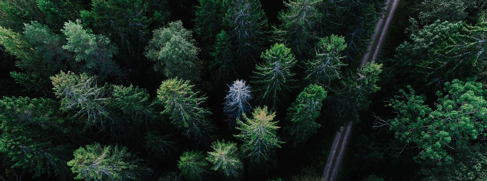 Tecnologia Têxtil Jiangsu Xiangyi (Grupo) Co., Ltd.